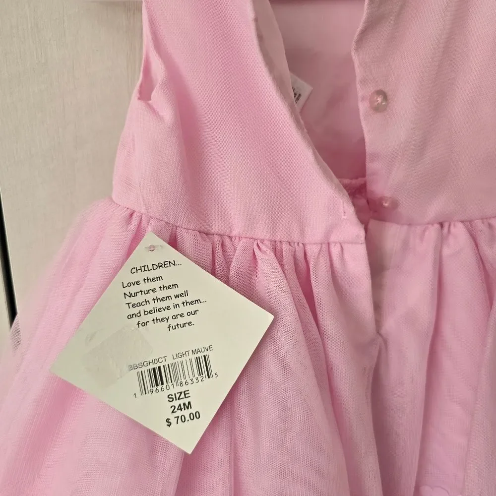 Blueberi Boulevard Baby Girls Embroidered Embellishment mesh dress 24 months